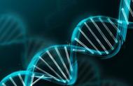 "不到3個月收穫121個融資事件 醫療健康業或成2020年最大贏家"